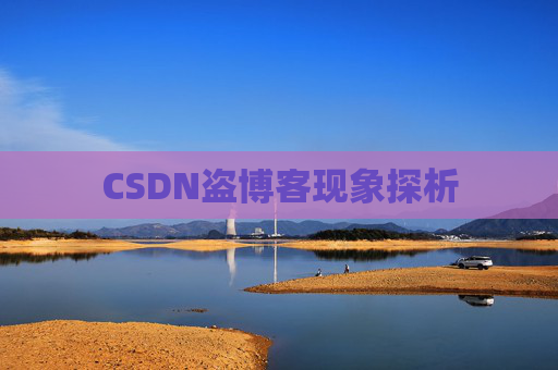 CSDN盗博客现象探析 CSDN盗博客现象探析